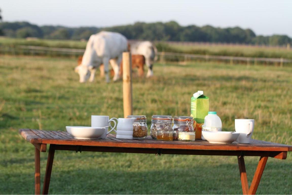 Shepherdshuts-Southeast Hotel Ashford  Ngoại thất bức ảnh